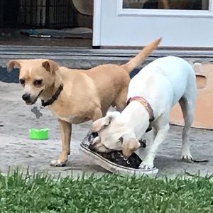 Meet your Posher, Brian